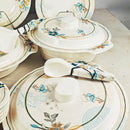 STM Melamine Dinner Set – 72-Piece | Strong & Durable for 8-Person Serving